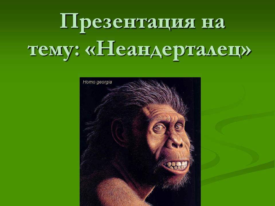 Неандертальцы как они жили и почему исчезли презентация